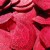 Сокът от червено цвекло намалява кръвното